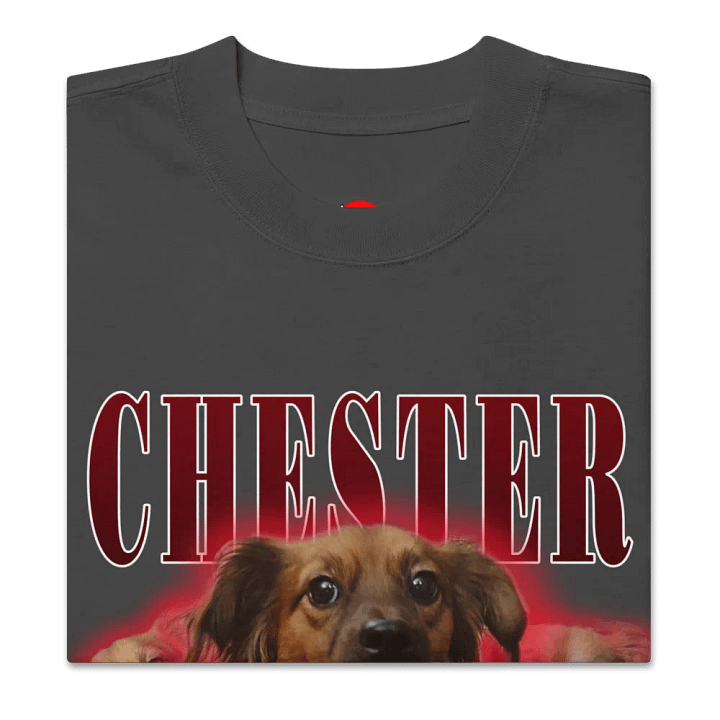 Chester Hip Hop Premium Oversized Faded T-Shirt product image (2)