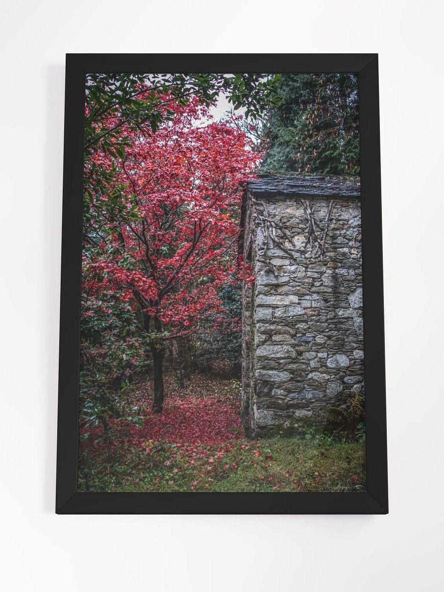 Print Fine Art - Fine Art - The Forgotten Sanctuary product image (7)
