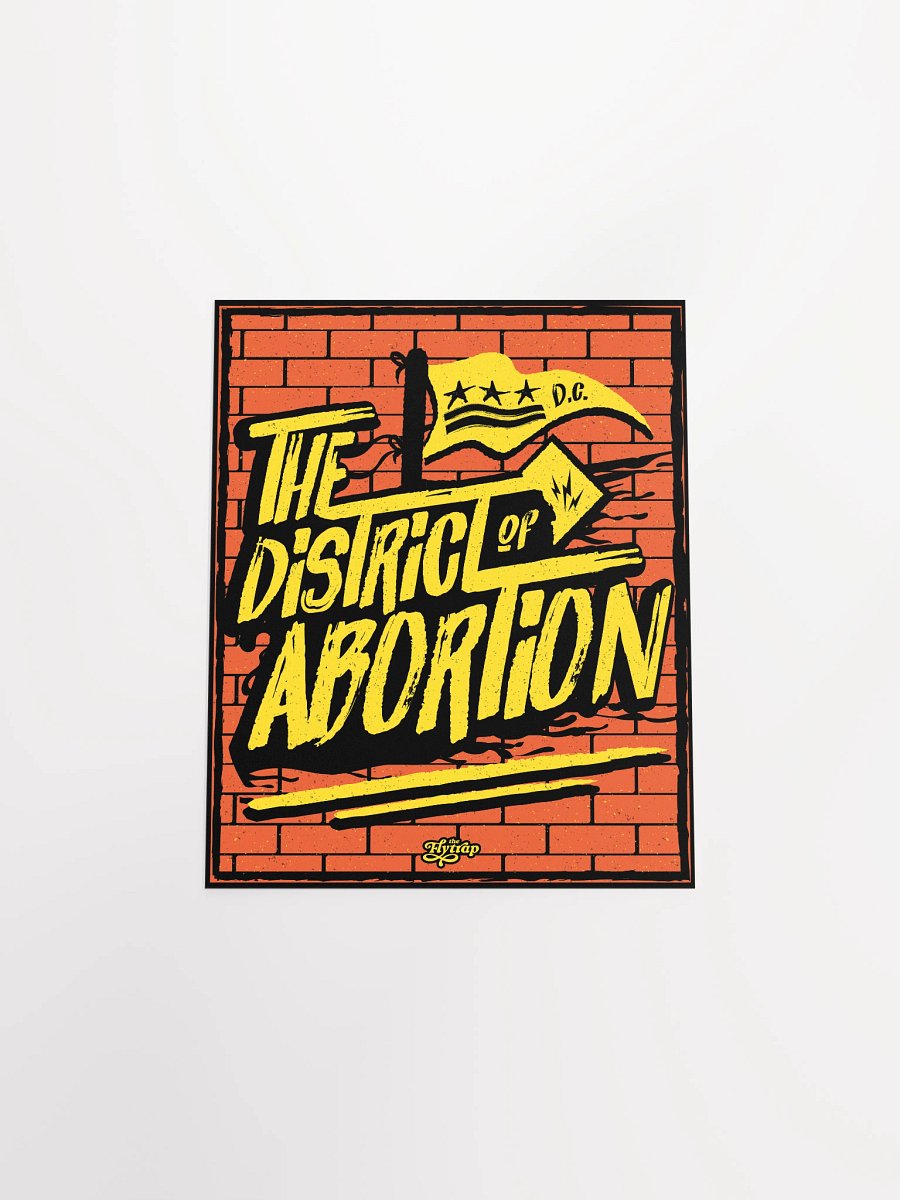 The District of Abortion 8x10 poster product image (4)
