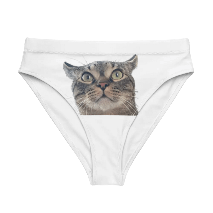 LUKE PANTIES product image (1)
