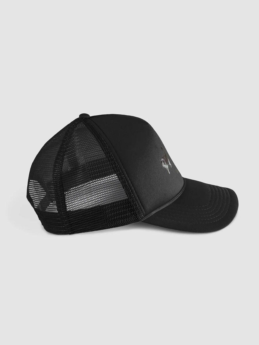 Bin Bin on your head product image (3)