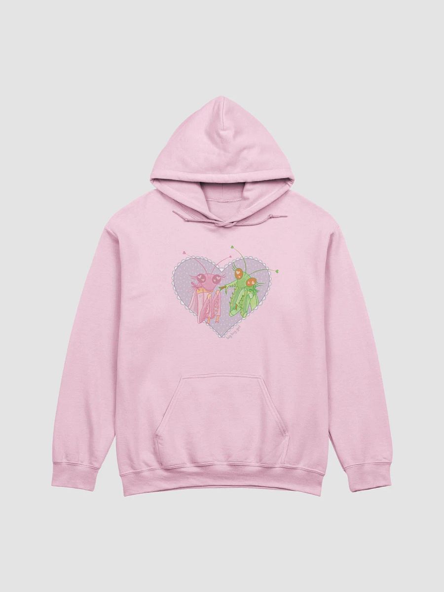 lou and friends classic hoodie product image (1)