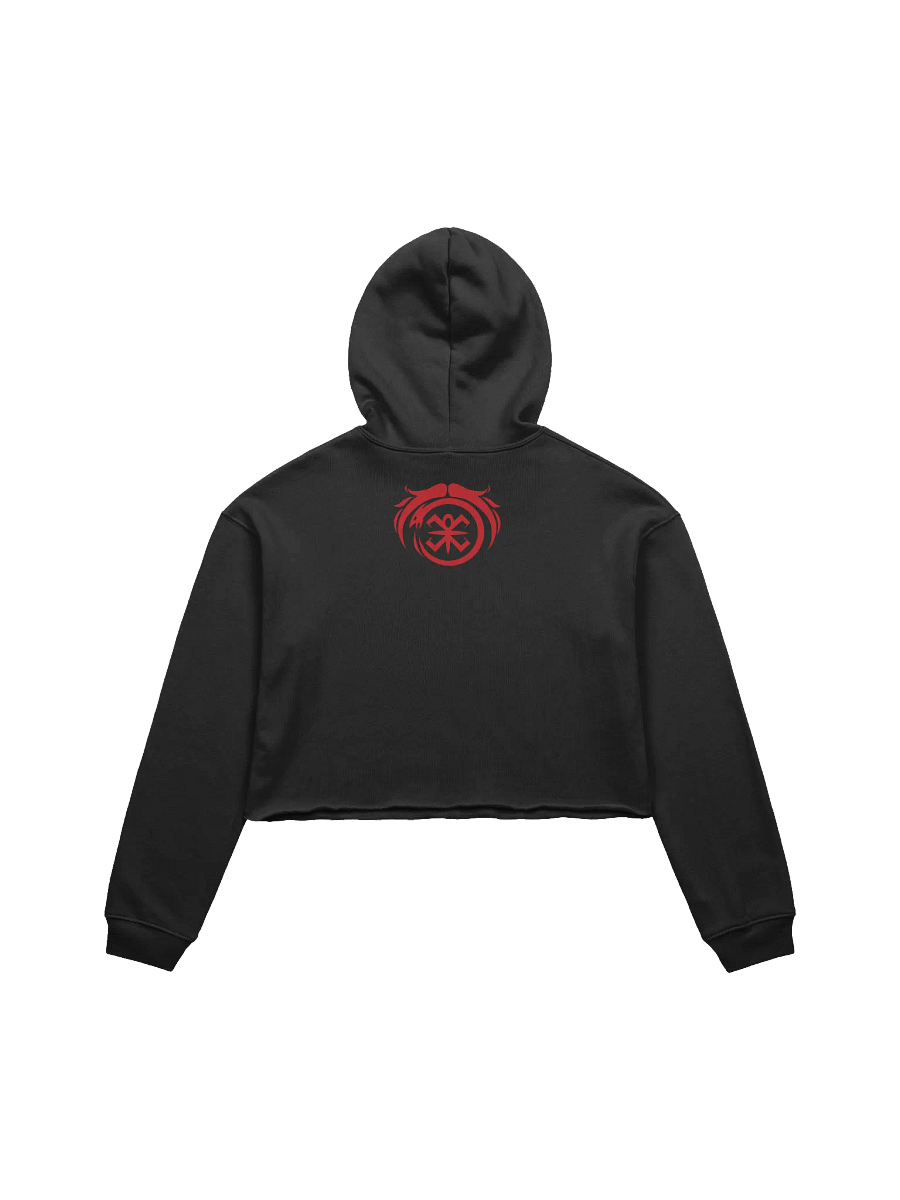 Chaotic Cropped Hoodie product image (10)