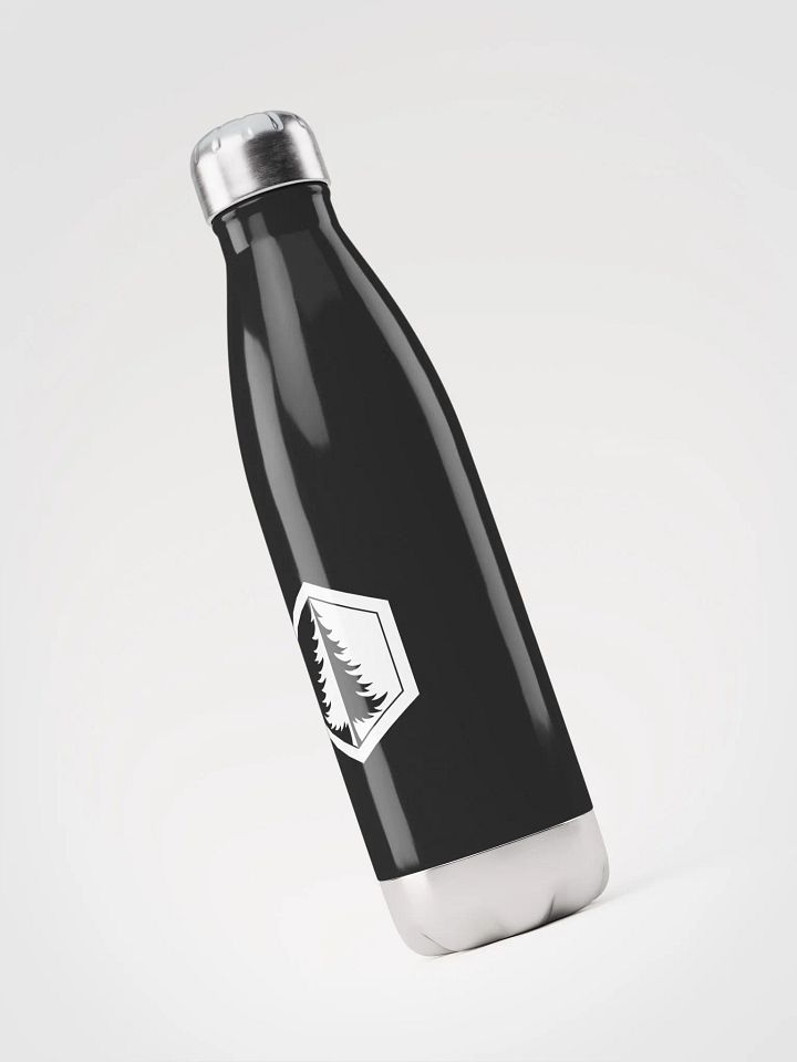 Stainless Steel Water Bottle (Black) product image (1)