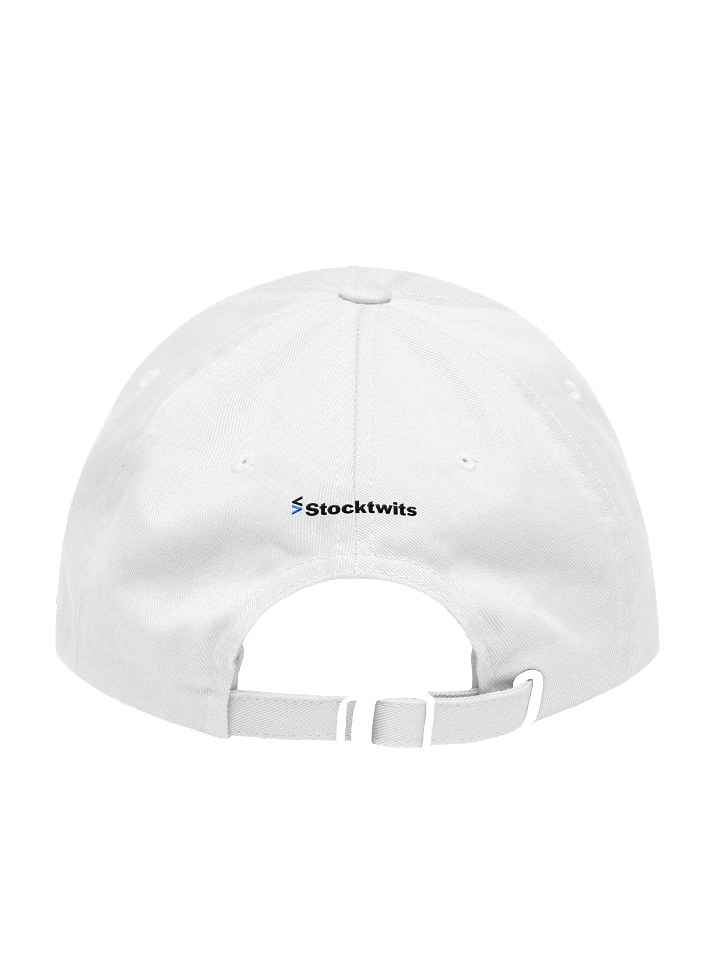 Chart Art Dad Hat product image (2)