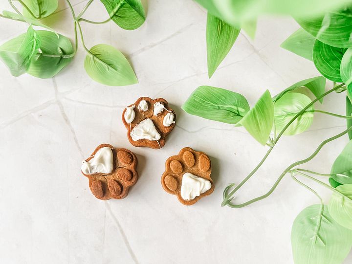 Decorated Paws product image (2)