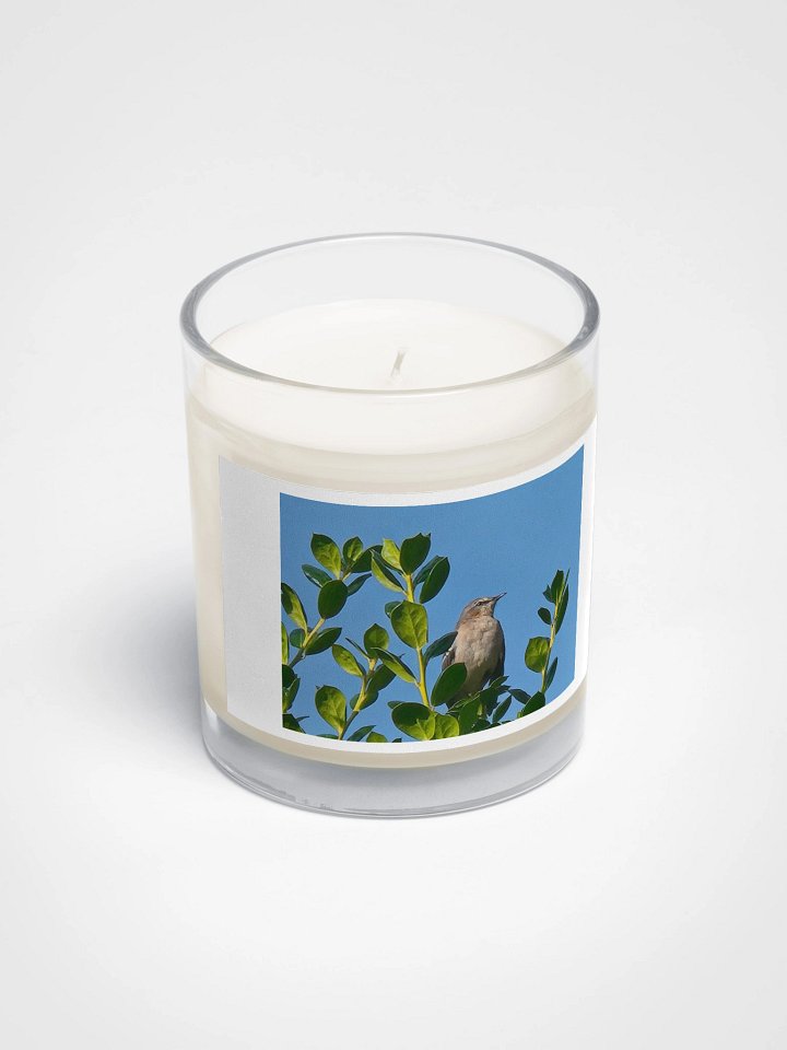 Serenity Songbird Soy Candle product image (2)