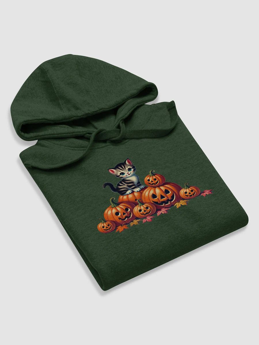 Halloween Kitten and Jack-o-Lanterns Premium Unisex Hoodie product image (17)