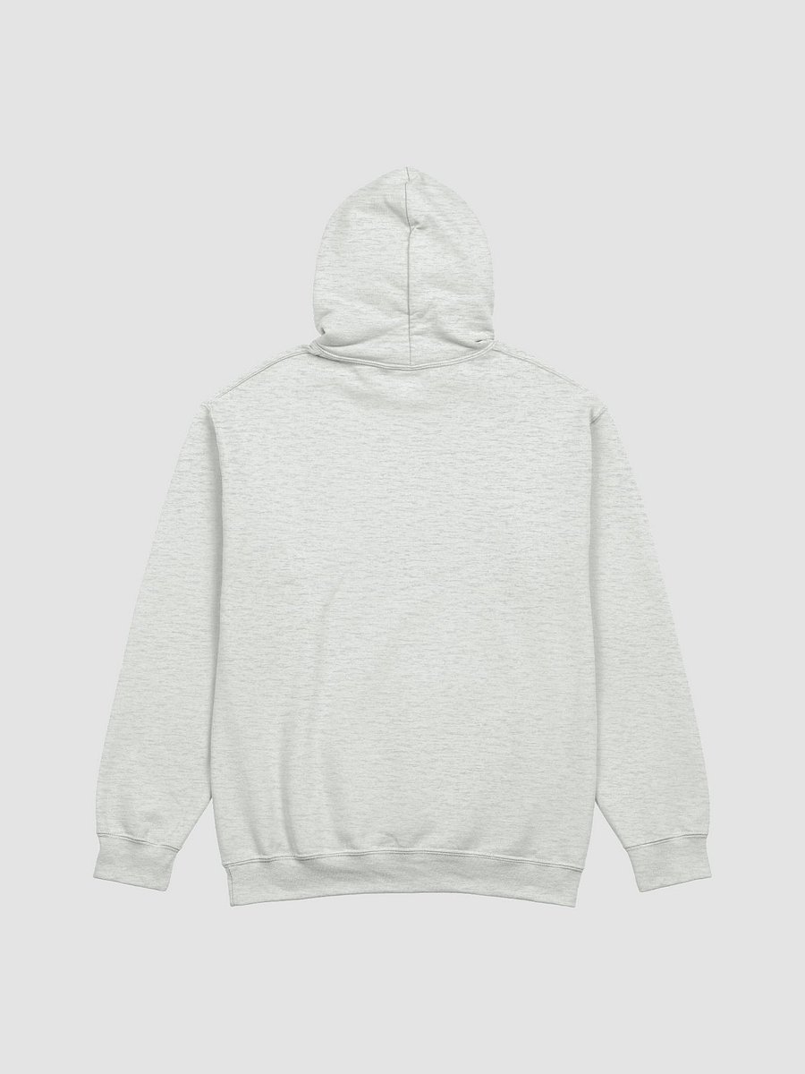 CHIEFTANCOOOL Unisex Classic Hoodie product image (37)