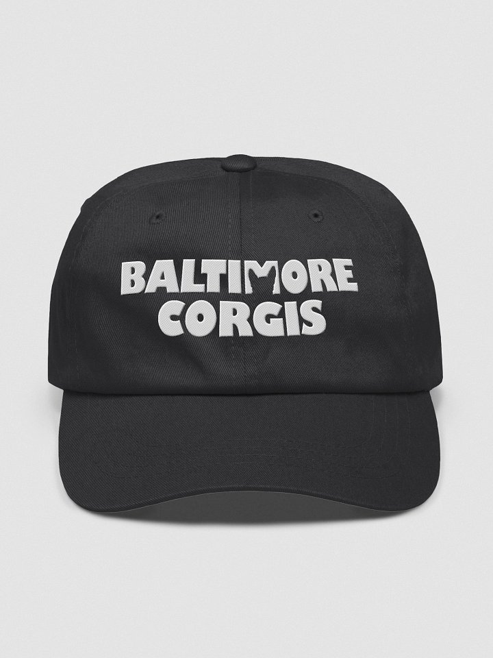 Baltimore Corgis Hat product image (2)