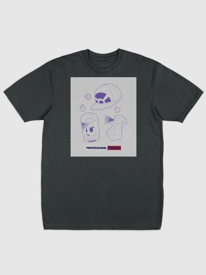 Professional Trainer Heavyweight T product image (1)