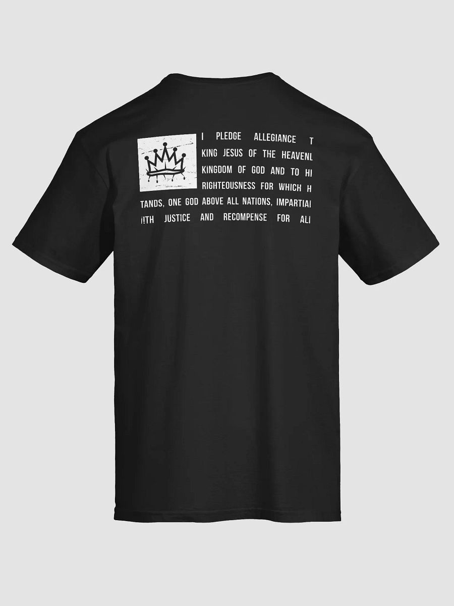 The Pledge product image (5)