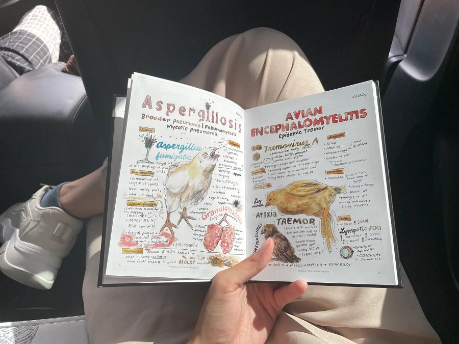 Vet Notes: Farm Animal Disease product image (7)