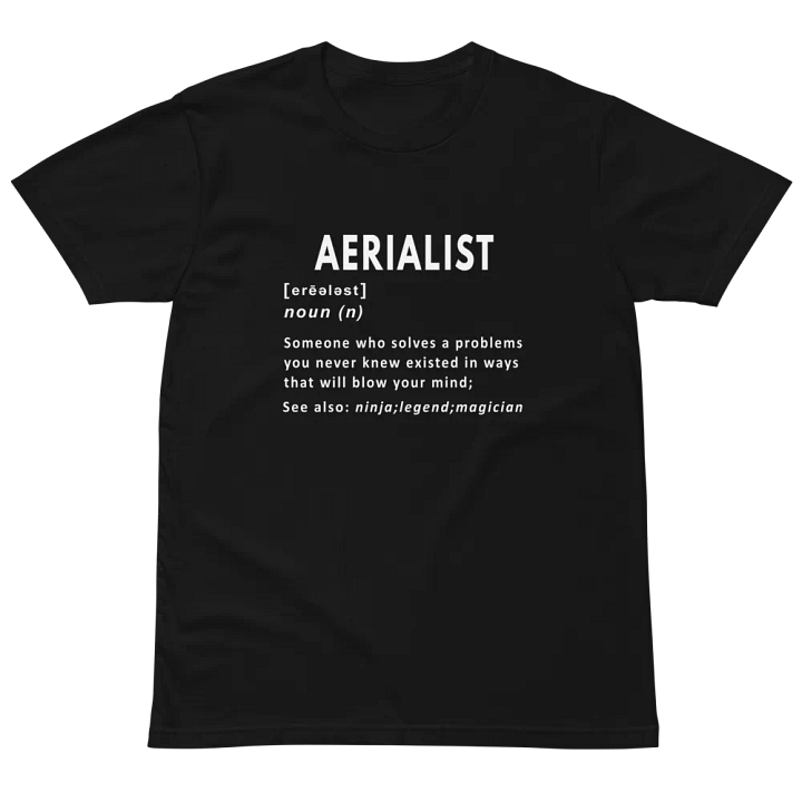 Aerialist Noun Funny Definition Unisex Premium T-Shirt product image (2)