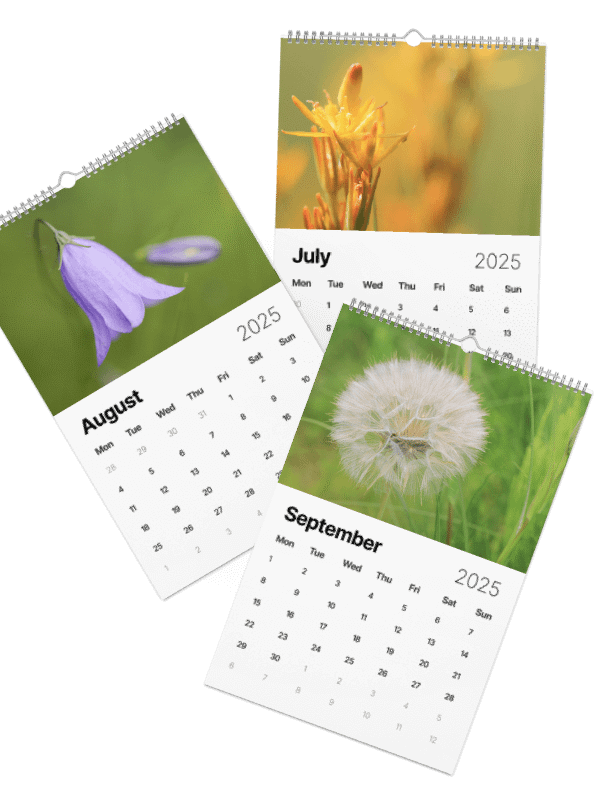 Plants & Wildflowers Calendar 2025 product image (3)