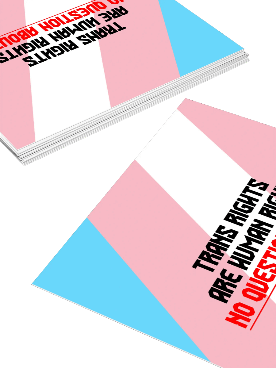 Trans Rights Kiss Cut Sticker product image (4)