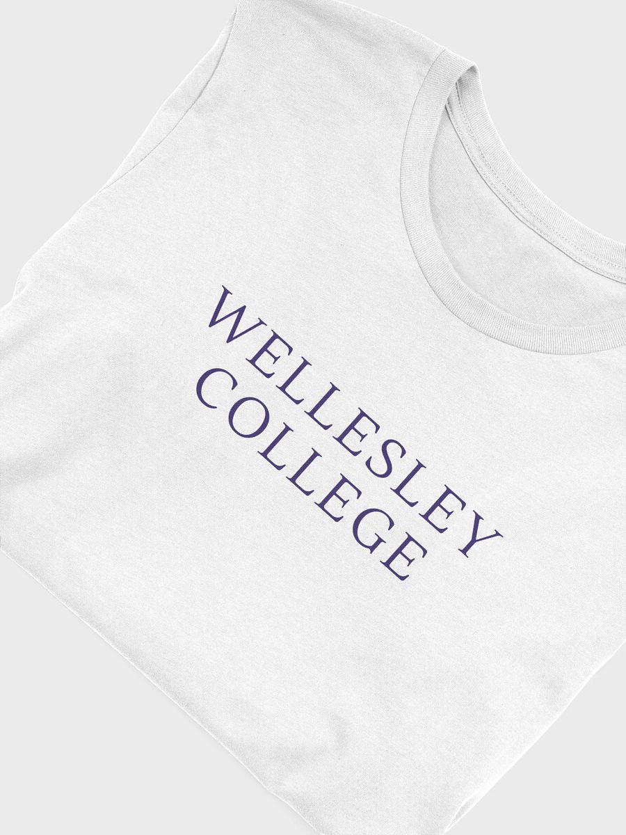 Minimalist Serif Reunion Tee in White product image (5)