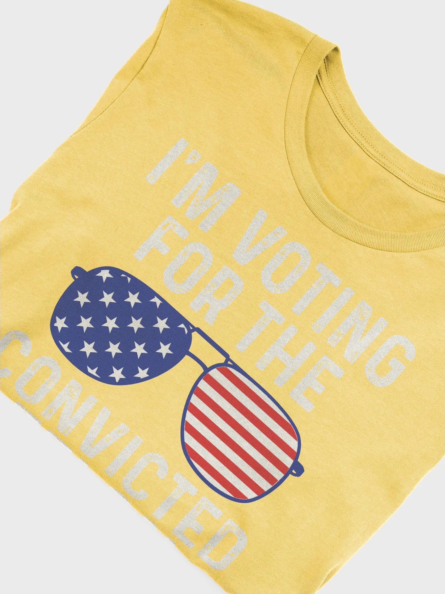 I'm Voting For The Convicted Felon product image (62)