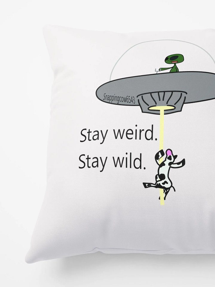 Stay Weird. Stay Wild. Pillow product image (1)