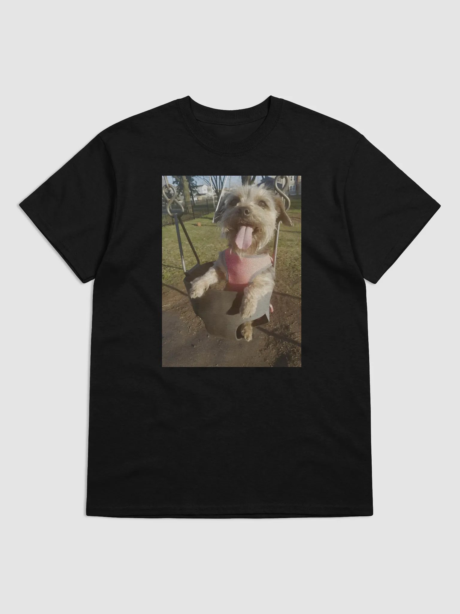 Chevy Swing product image (1)