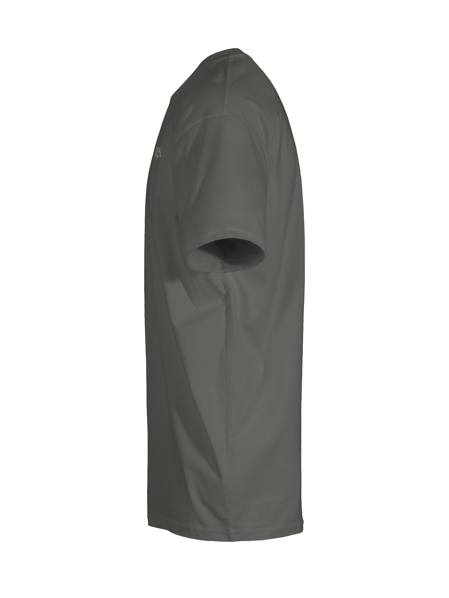 No Kings Unisex Organic Battle Tee product image (9)