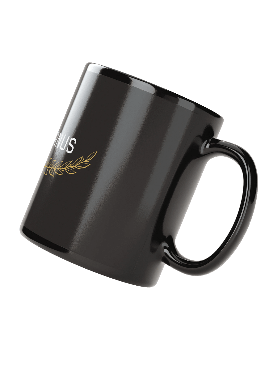 Stoicus Hodiernus Mug product image (4)