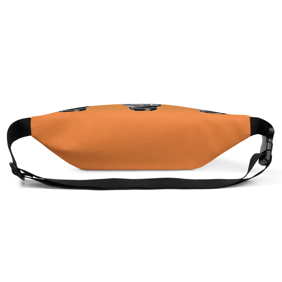 BIGGY Fanny Pack product image (3)