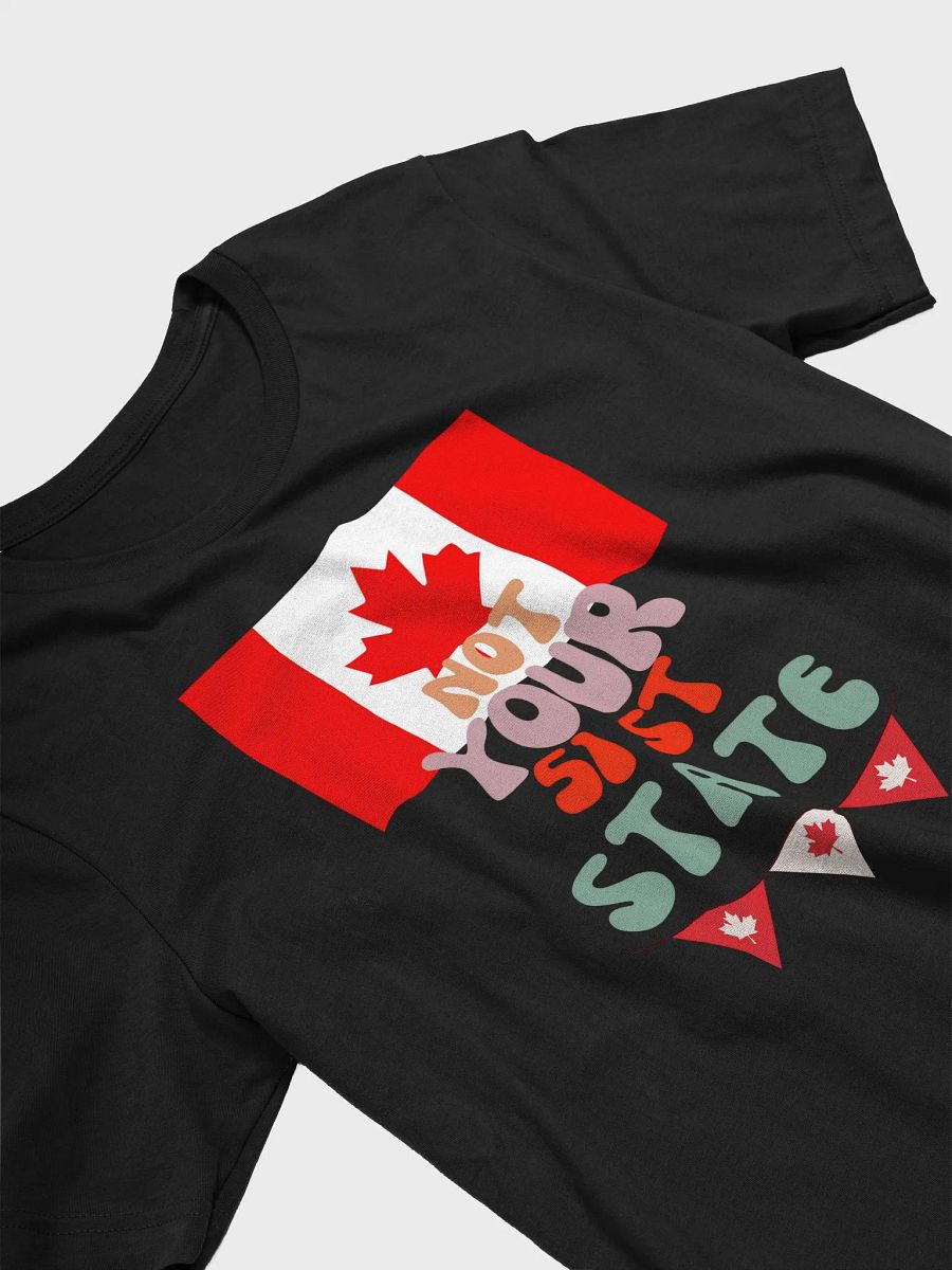 Canadian Pride Statement Tee product image (9)