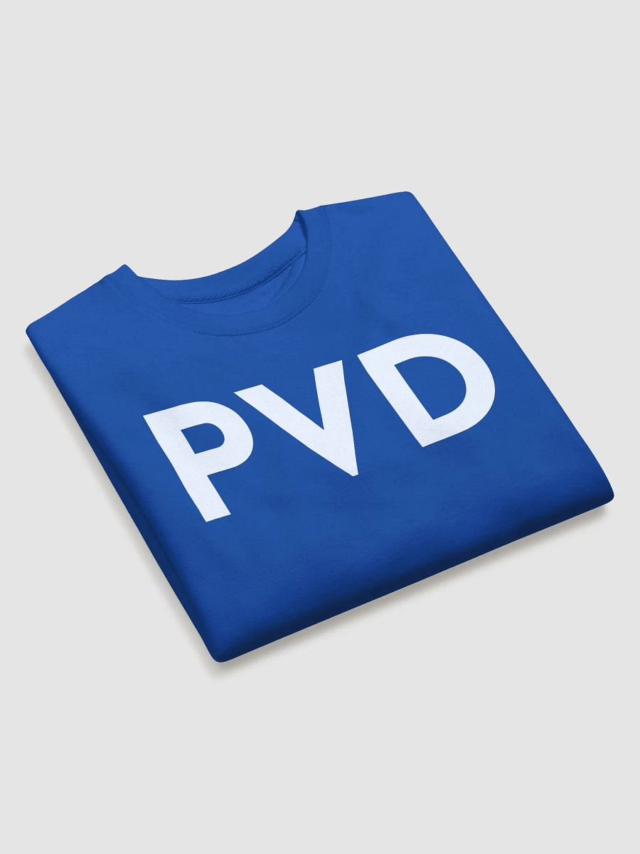 PVD, Rhode Island (Cotton Heavyweight Fabric) product image (22)