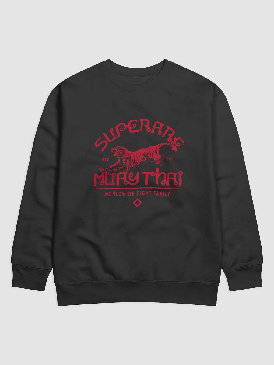 Muay Thai Worldwide Hoodie product image (1)