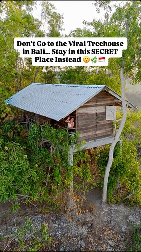 Everyone queues for hours at the famous Bali treehouse for a 3-minute photo… but the other Rumah Pohon is the real hidden gem...
