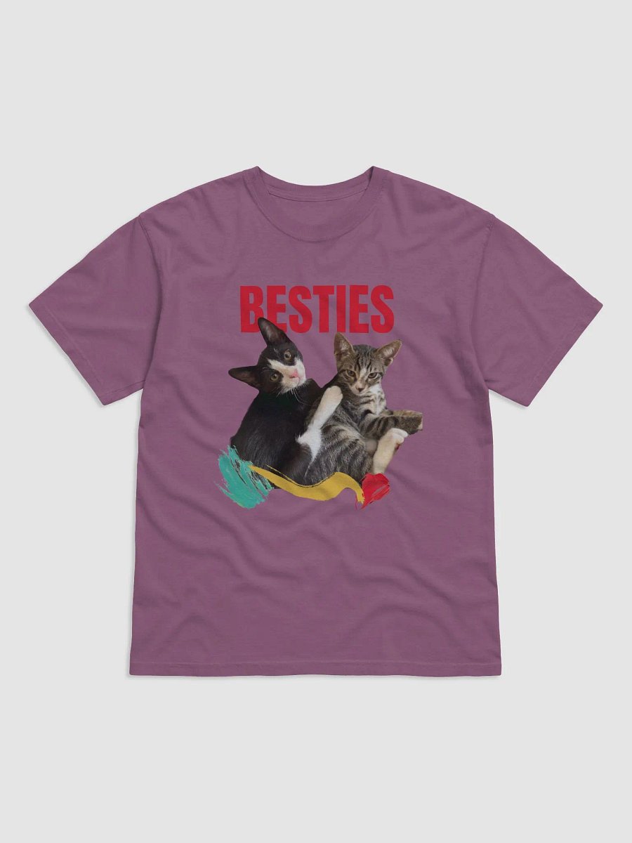 Besties Embrace T-Shirt product image (11)