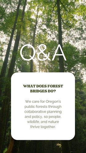 Who We Are

What does Forest Bridges do?
We care for Oregon’s public forests through collaborative planning and policy, so pe...