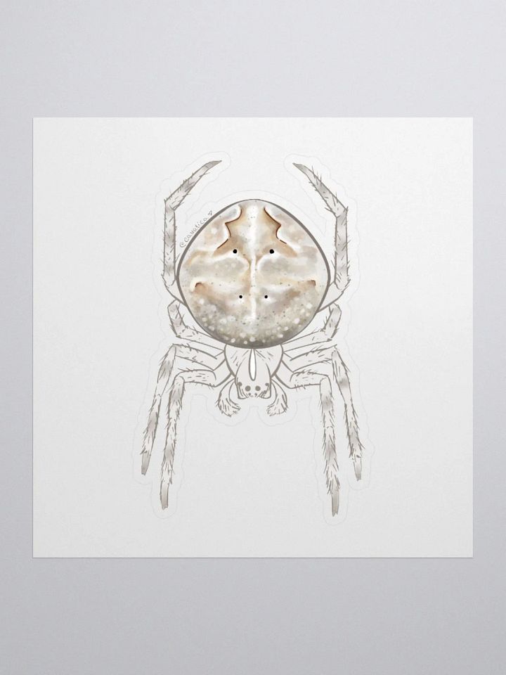 Large Grey Spider – Sticker product image (1)