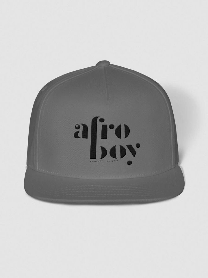 AB 2 Tone Flat Snapback Cap product image (1)