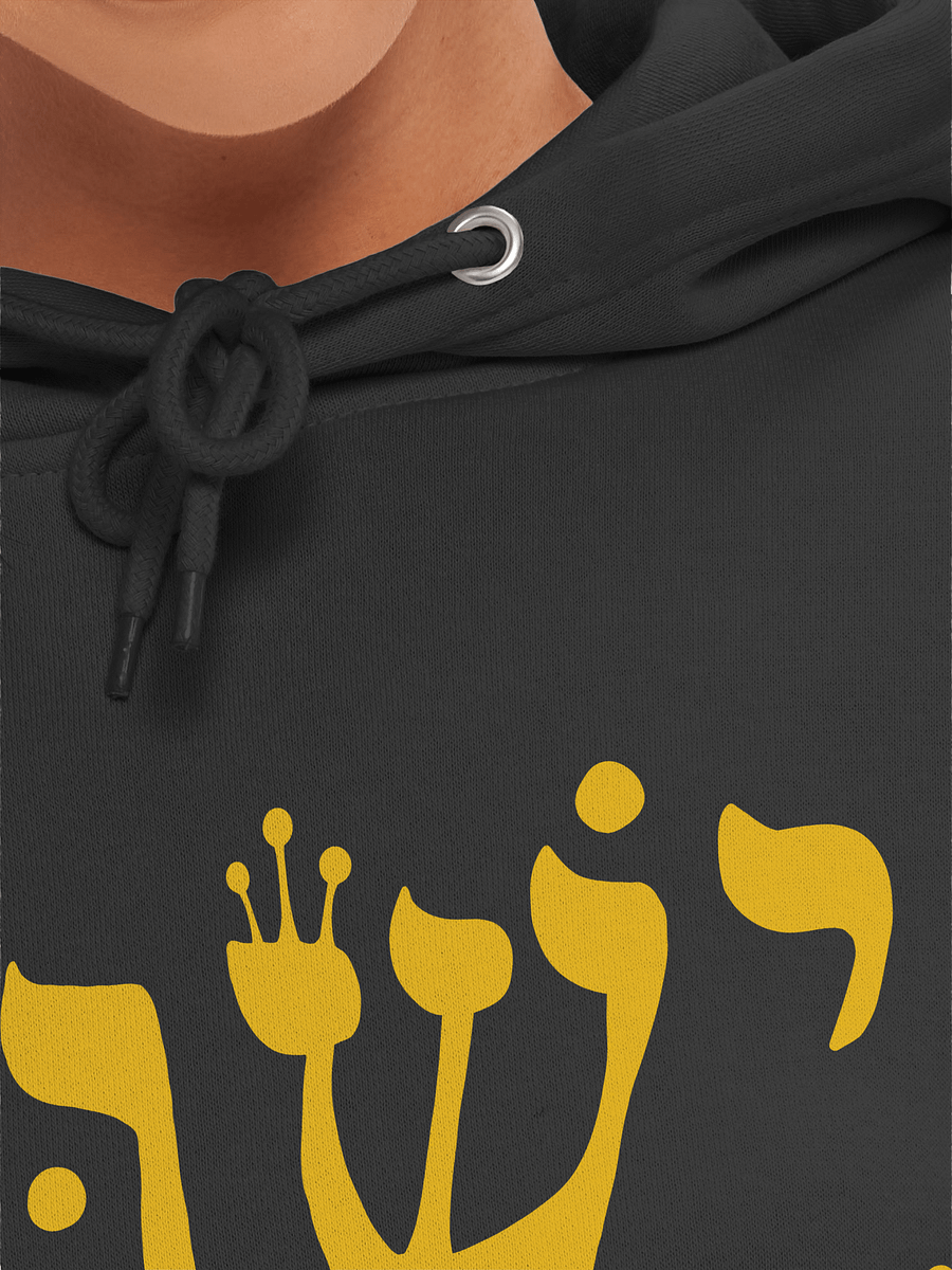 Christafari Hebrew Yeshua Unisex Premium Hoodie product image (7)