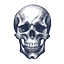 Silver Skull