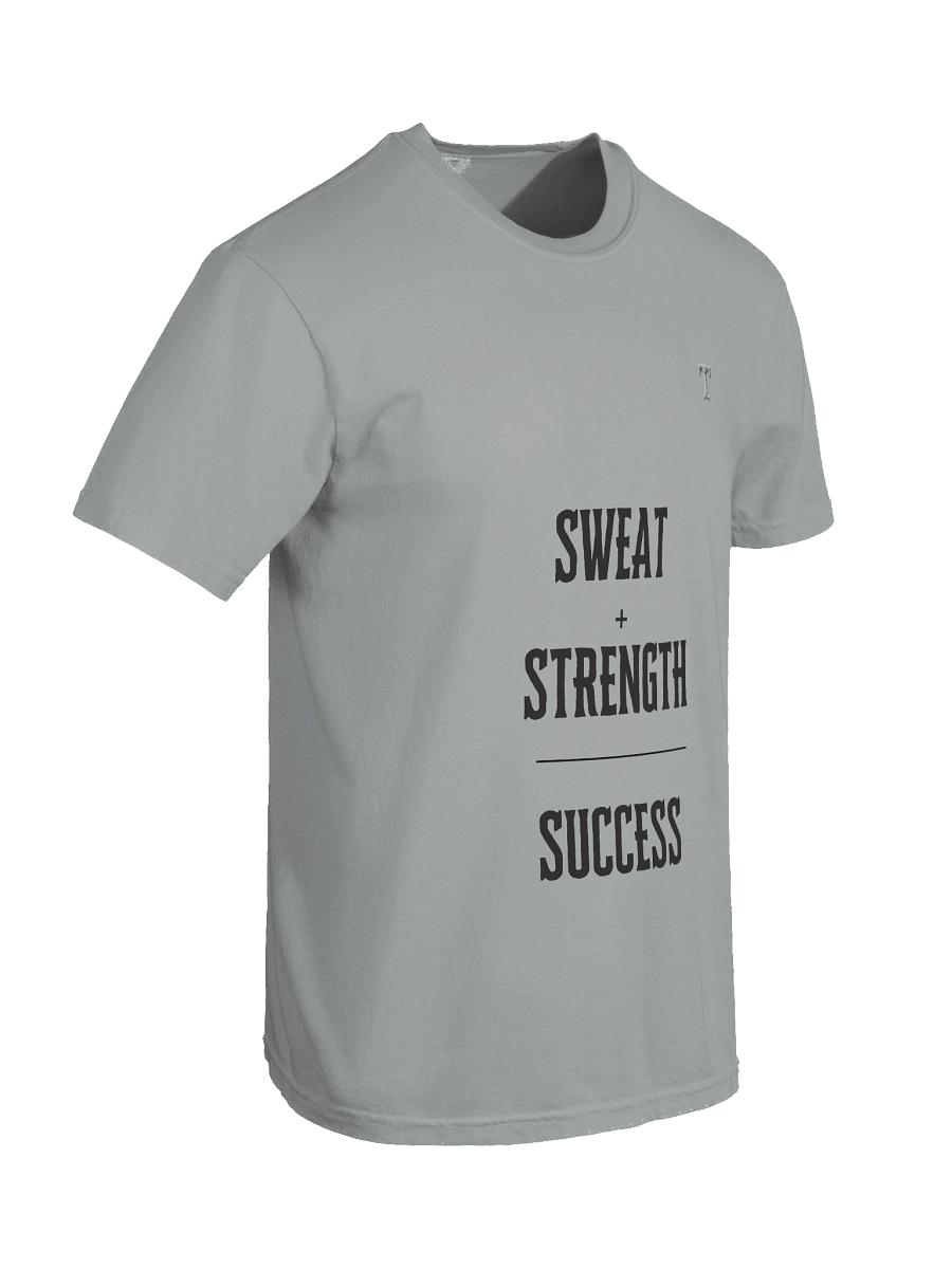 Sweat + Strength = Success T-Shirt product image (99)