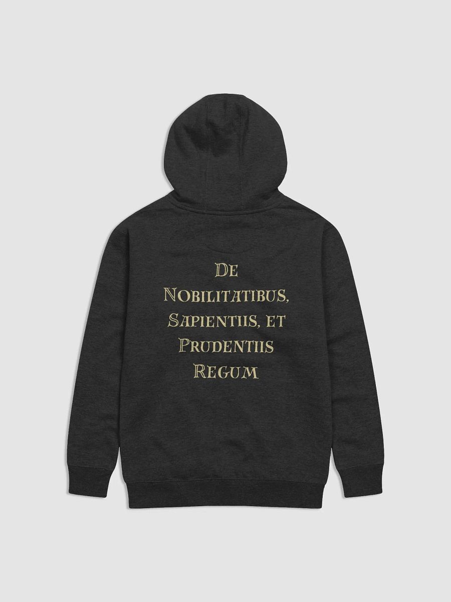 Echoes of Marginalia Hoodie Dark product image (4)