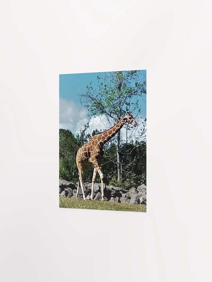 Giraffe product image (14)