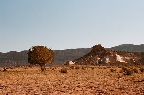 Santacolor 100 - Aka Kodak Aerocolor 

#analogphotography #santacolor100