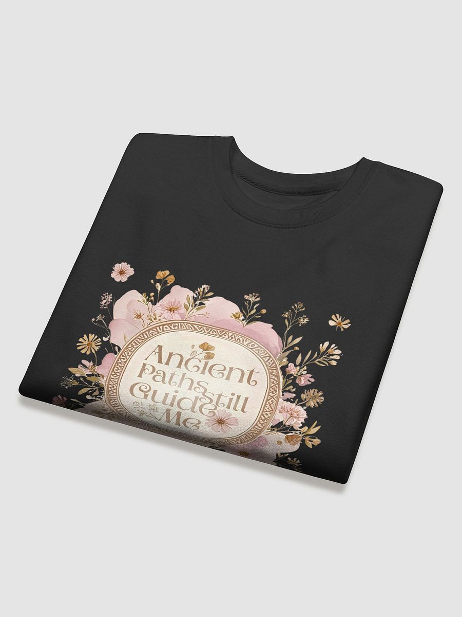 Ancient Paths Premium Sweatshirt product image (4)