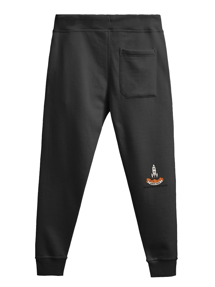 space fall joggers 2.0 product image (5)