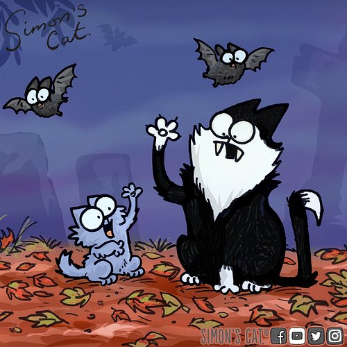 What are you dressing up this Halloween?! 🧙‍♀️🪄🦇🧛😺