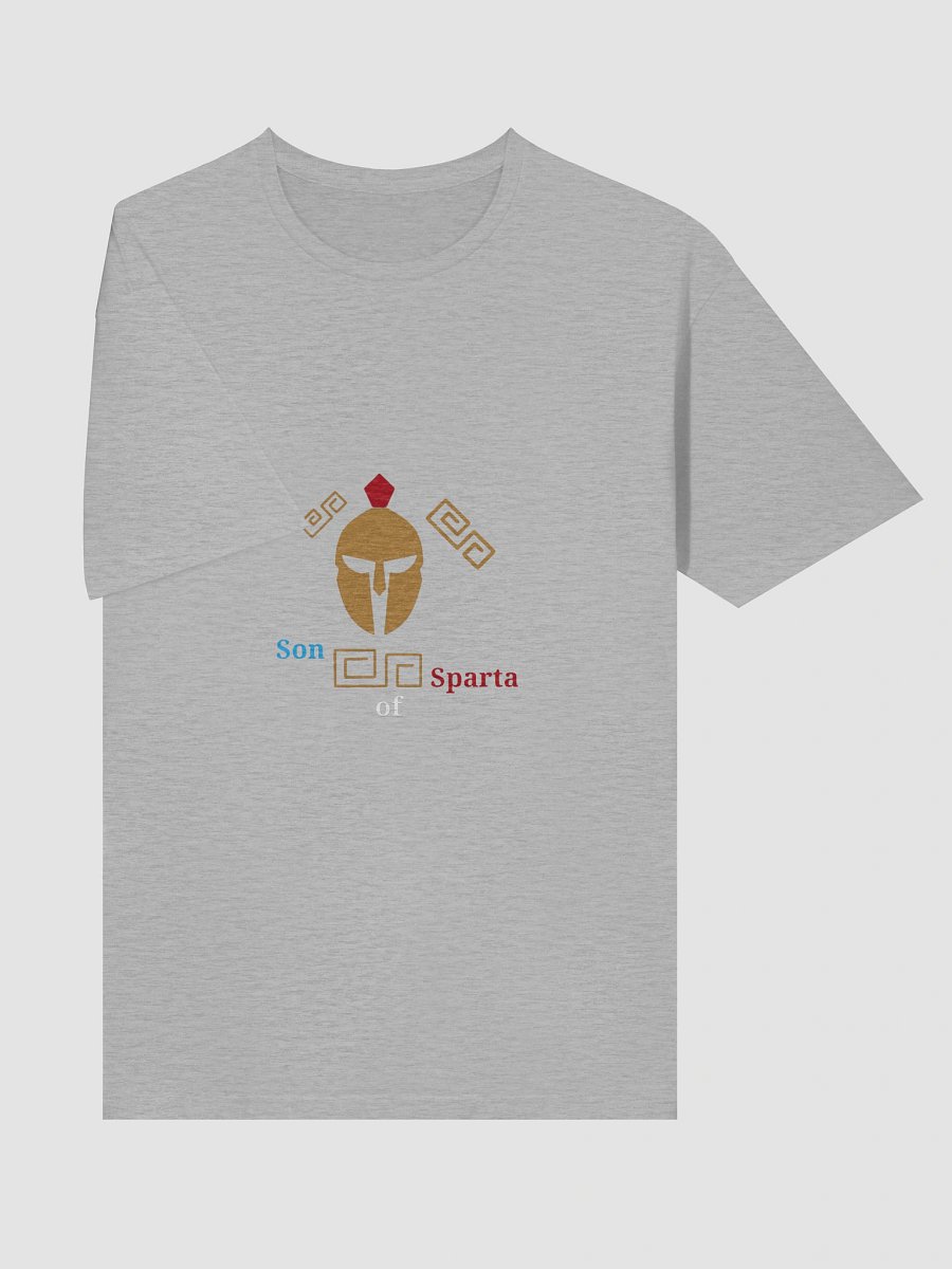 Spartan Heritage Men's Tee product image (5)