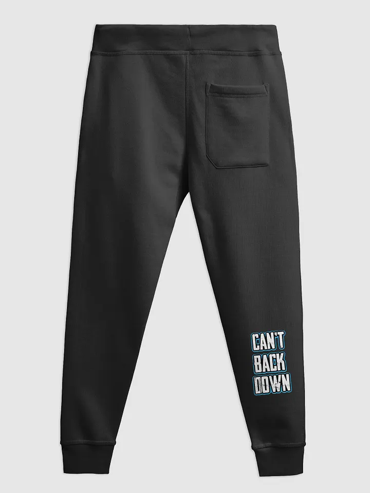 TeNN4OUR (Can't Back Down) Streetwear Joggers product image (8)
