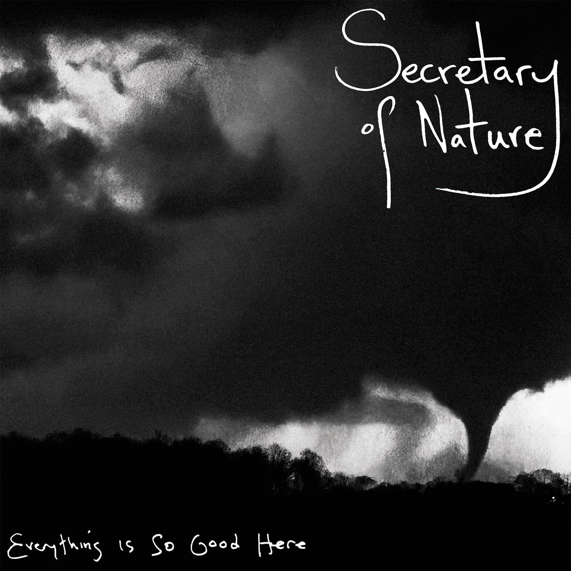 Vinyl LP: Secretary of Nature: Everything Is So Good Here product image (1)