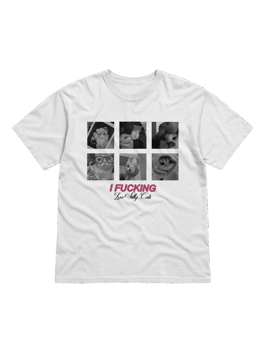 (NEW) i FUCKING love silly cats - tee product image (1)