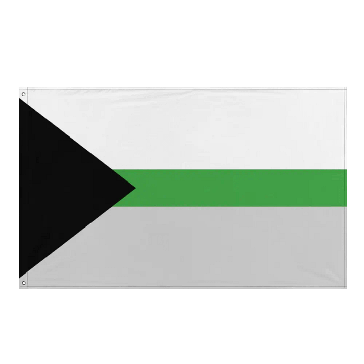 Demiromantic Flag product image (1)