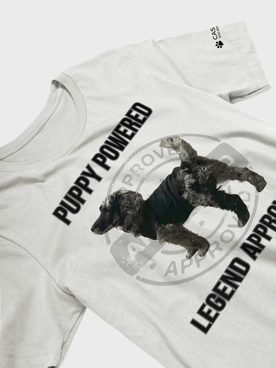 LEGEND APPROVED T-Shirt product image (8)
